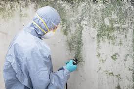 Best Mold Prevention Services  in White Oak, TX